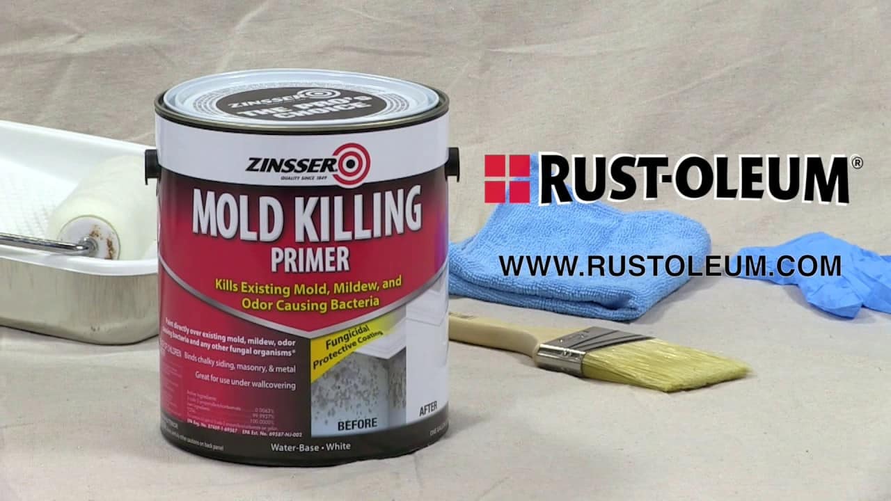 The Best Mold Killing Primer and Mold Resistant Paints