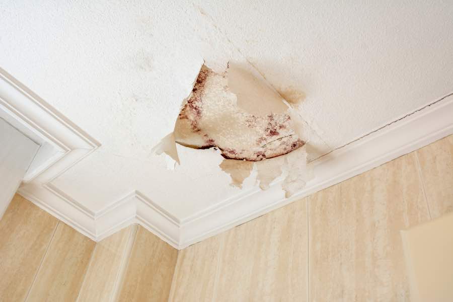 Mold On Ceiling Diy Painting Tips