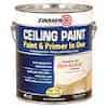 Zinsser Ceiling Paint