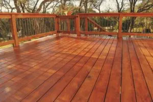 Freshly Stained Deck