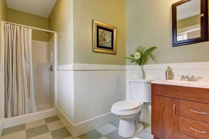 Zinsser Mold Killing Primer Review: Does It Work? - DIY Painting Tips