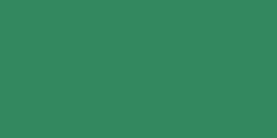 EXQUISITE EMERALD
P420-6