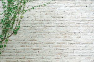 painted brick wall