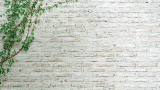 painted brick wall