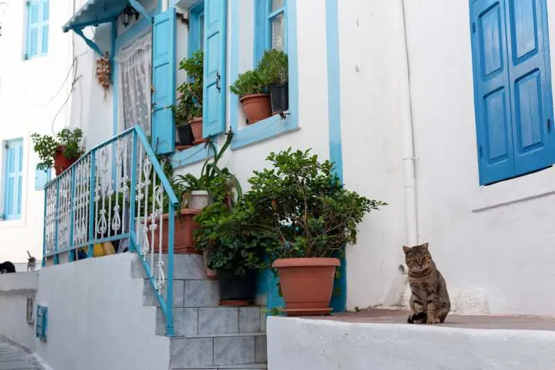 20 Bold and Modern Exterior House Painting Ideas to Inspire You 9 Turquoise and white exterior house painting ideas