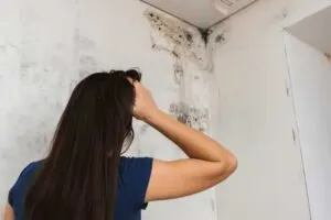 Paint Problems & Solutions 12 Mold on Walls