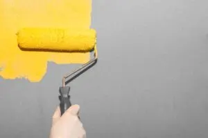 Paint Problems & Solutions 7 How to fix paint roller marks