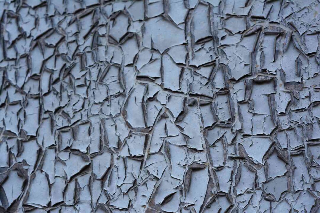 Alligatoring Paint What It Is and How to Fix It DIY Painting Tips