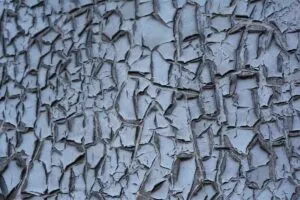 Paint Problems & Solutions 5 Alligatoring paint