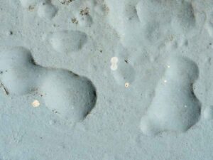 Paint Problems & Solutions 1