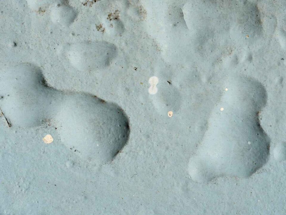 How to Fix Paint Bubbling on Walls and Prevent Future Bubbling and Blistering DIY Painting Tips