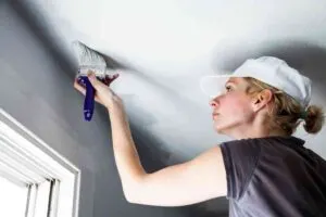 Paint Problems & Solutions 1 How to get rid of cutting in lines when painting