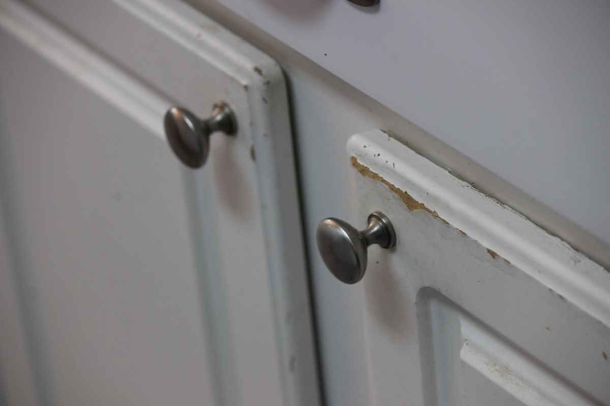 How to Paint Laminate in 9 Steps the Complete Guide DIY