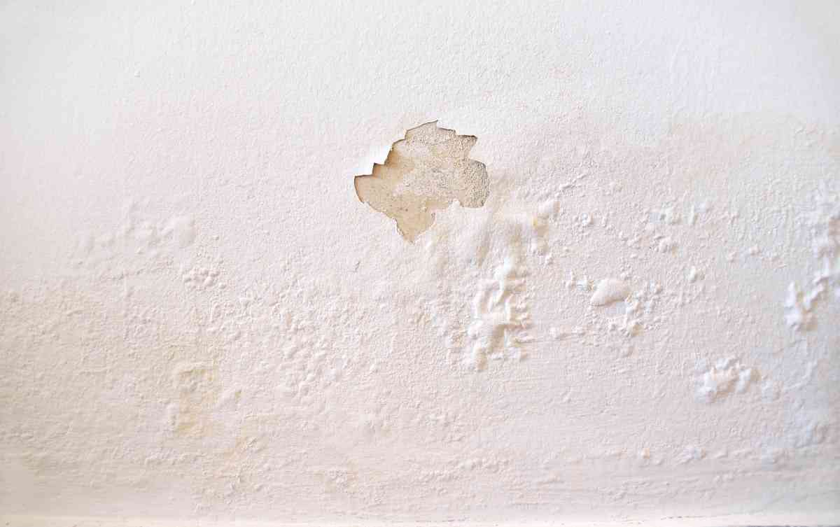 How To Fix Paint Bubbling On Walls And Prevent Future Bubbling And   Paint Bubbling On Wall 