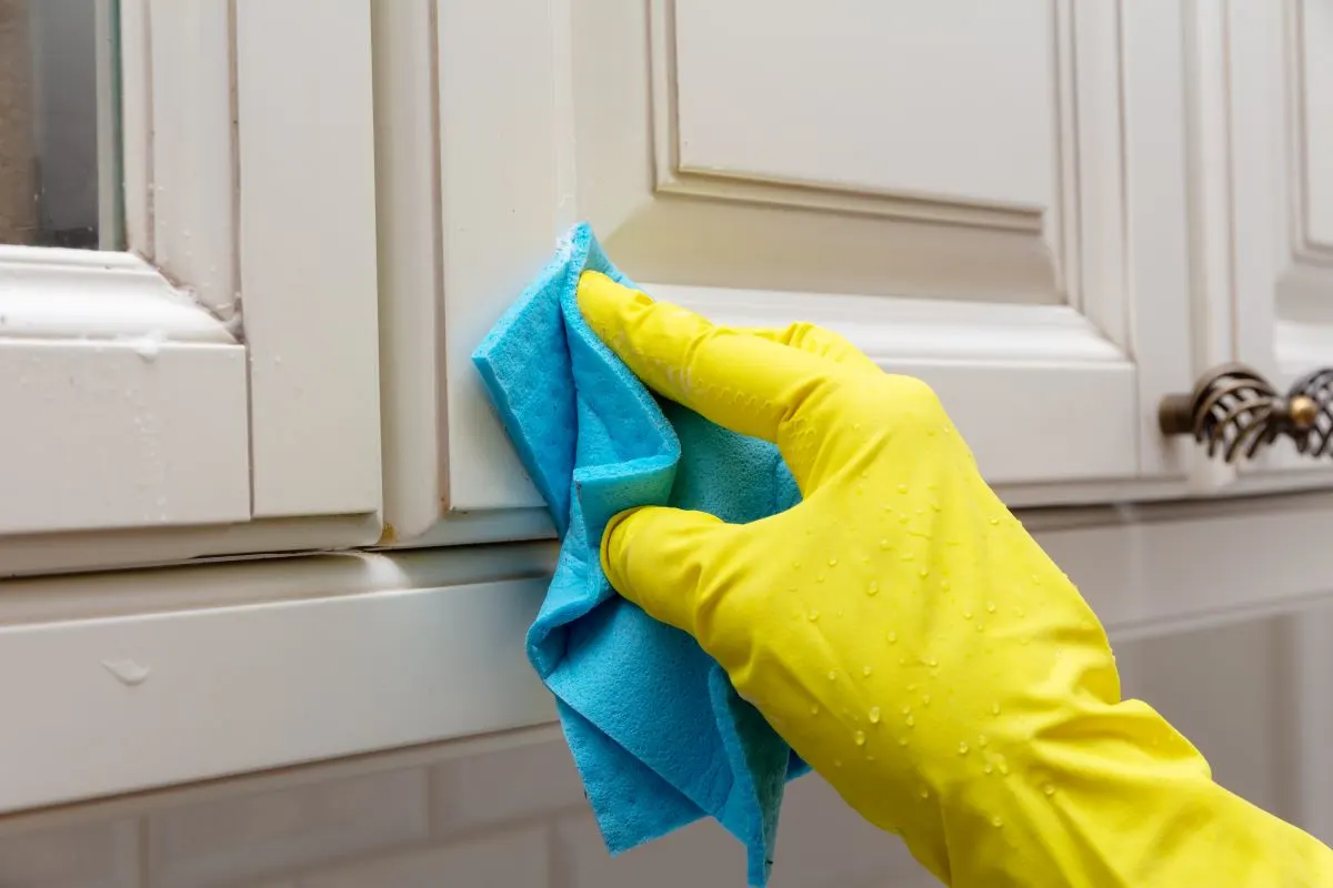 The Best Degreaser for Kitchen Cabinets