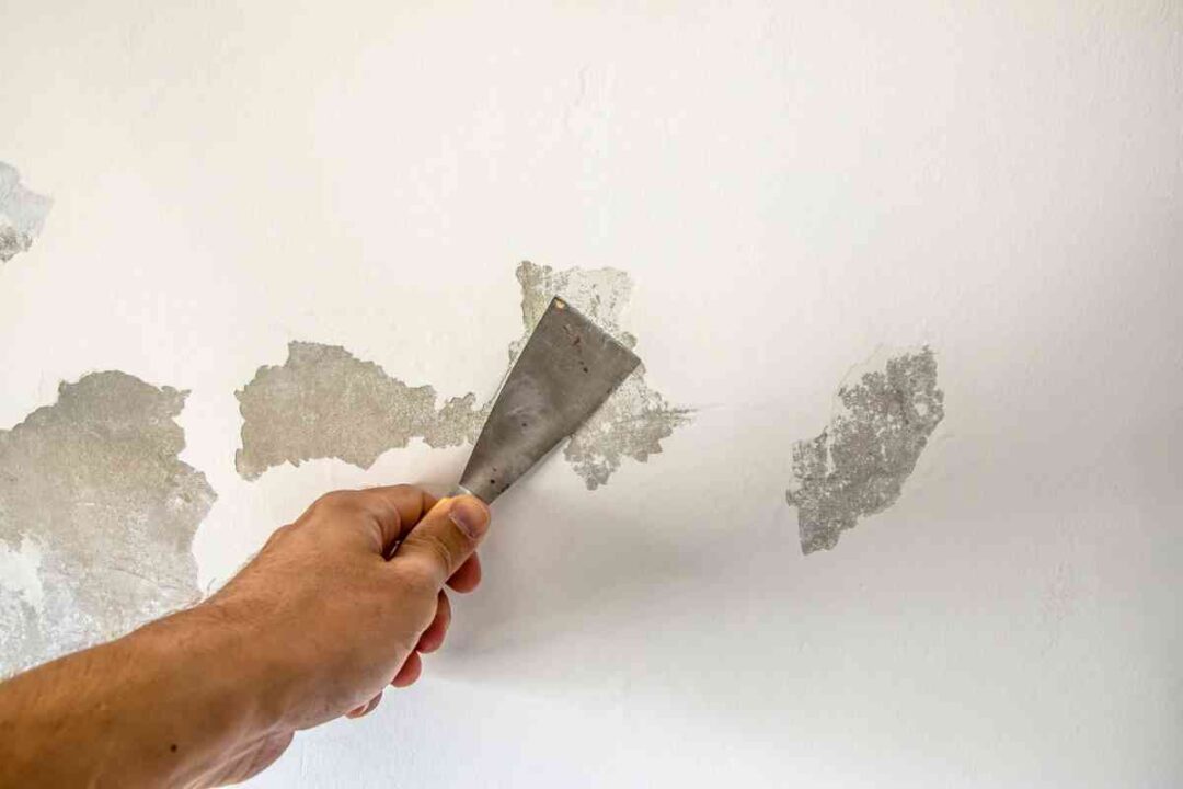 How to Fix Uneven Paint on Walls - DIY Painting Tips