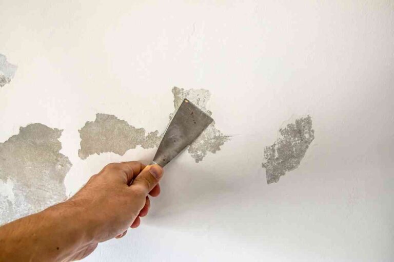 How to Fix Uneven Paint on Walls DIY Painting Tips