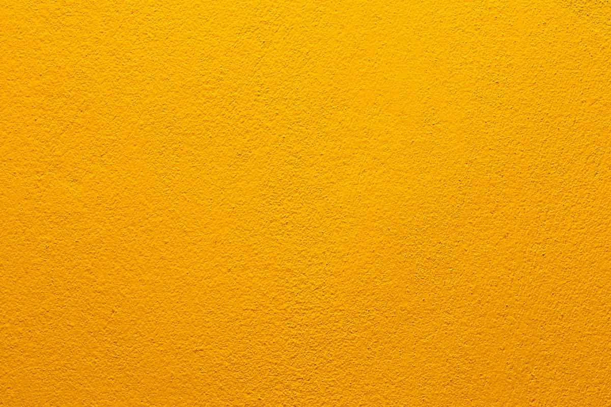 How to Paint Concrete A Beginner's Guide DIY Painting Tips