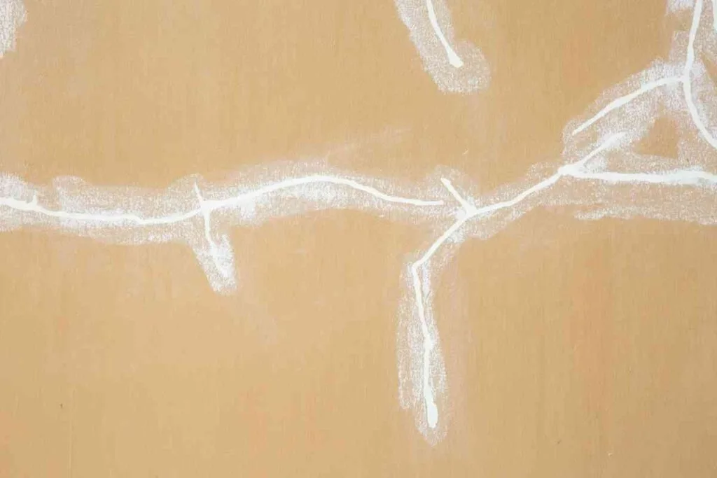 How to Repair Holes in Drywall: Step-by-Step Instructions 4 Using spackle to repair drywall surface cracks