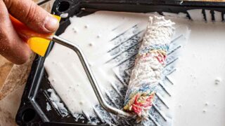 Wagner Paint Roller
