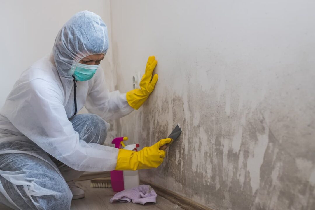 Tips for Painting Over Mold Safely and Effectively DIY Painting Tips