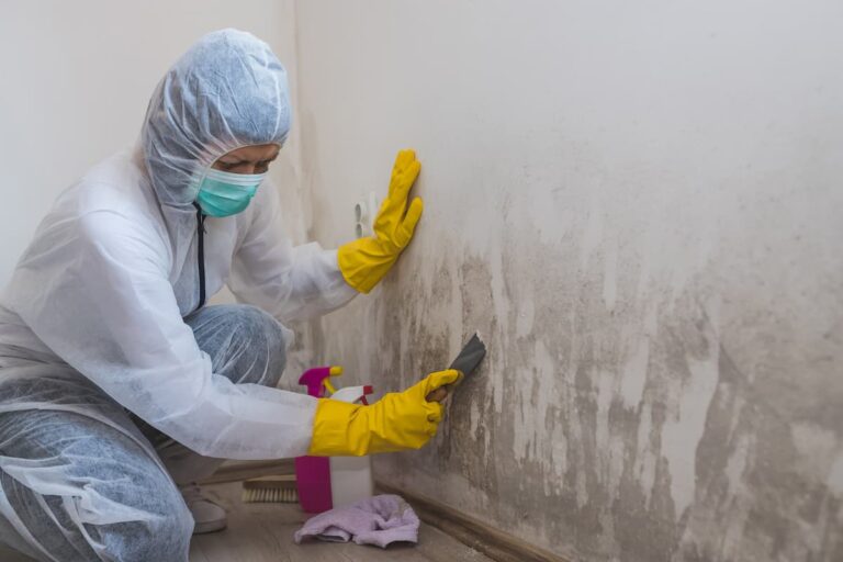 Tips for Painting Over Mold Safely and Effectively - DIY Painting Tips